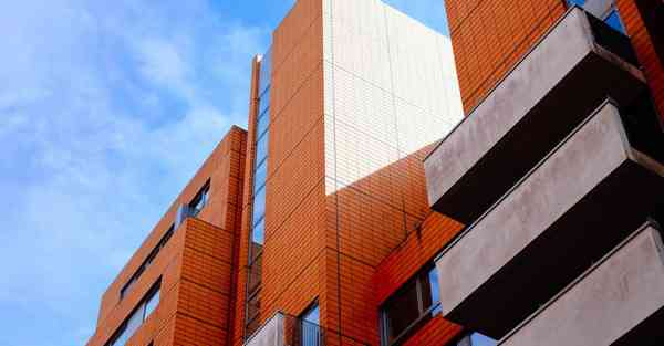 外国语单招大数据的行业文章