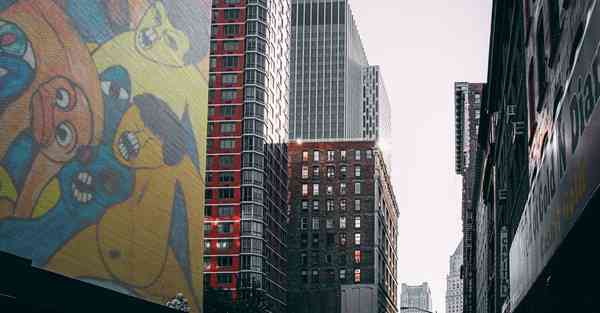 美国健康大数据