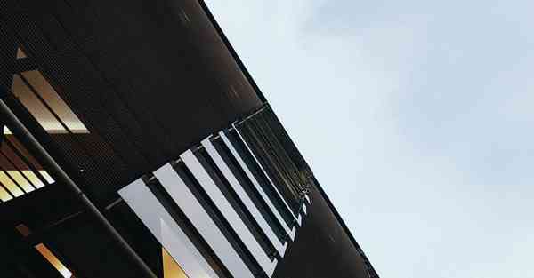 人工智能机器人和人谈恋爱