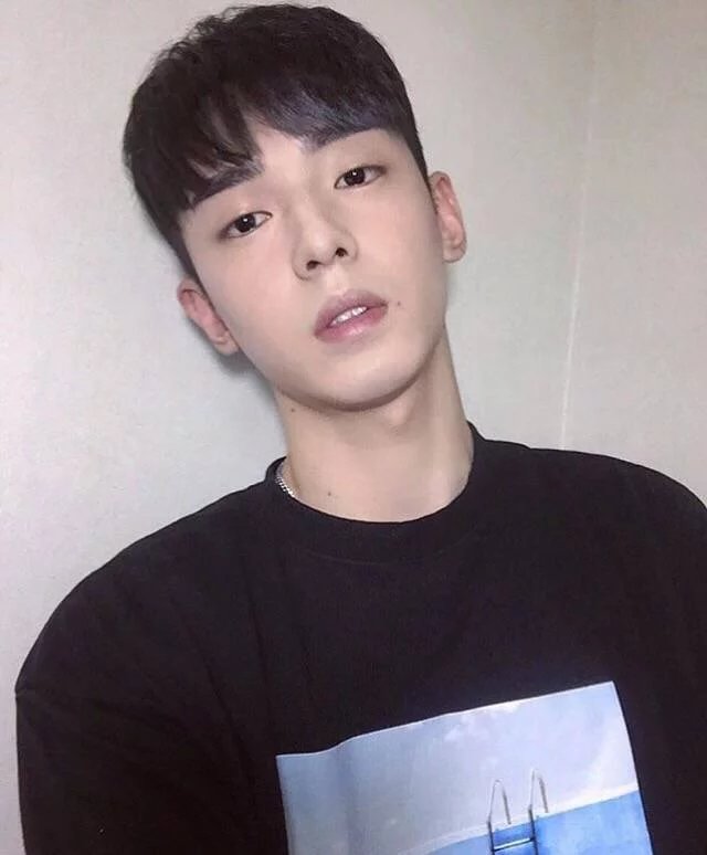 诸葛菡丽欢