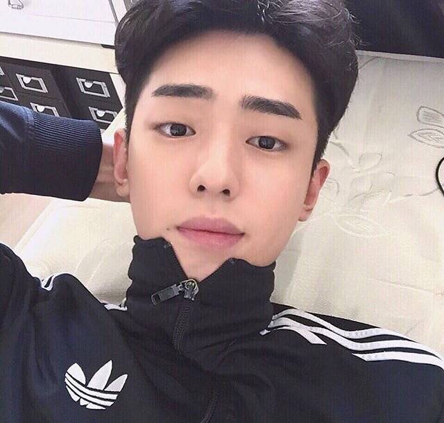阮振娇龙