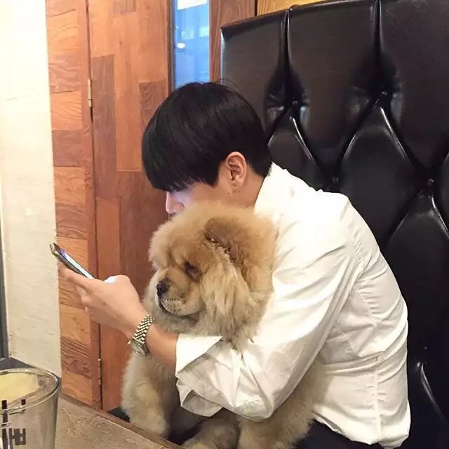 党元唯子