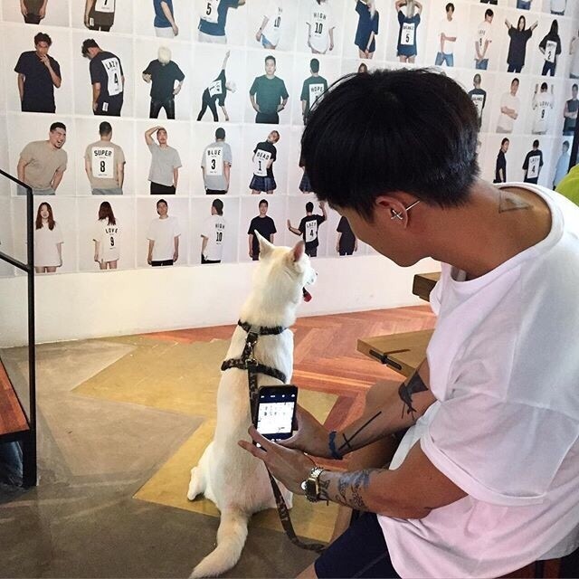 秦瑞中翠