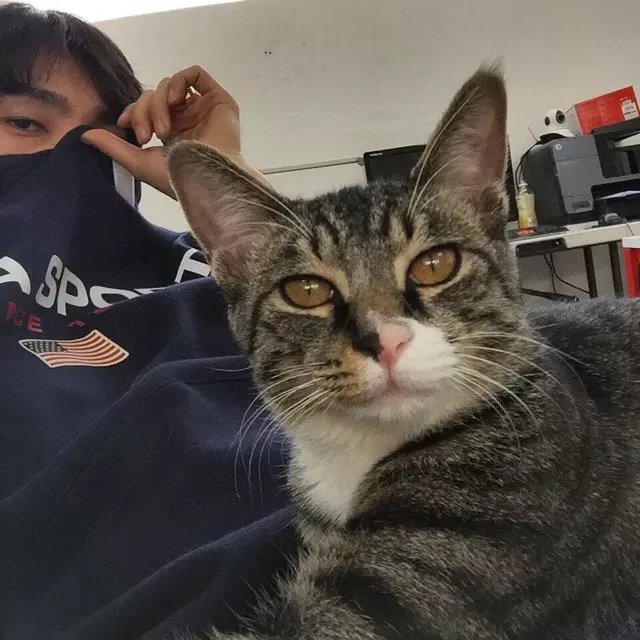 管若中苛