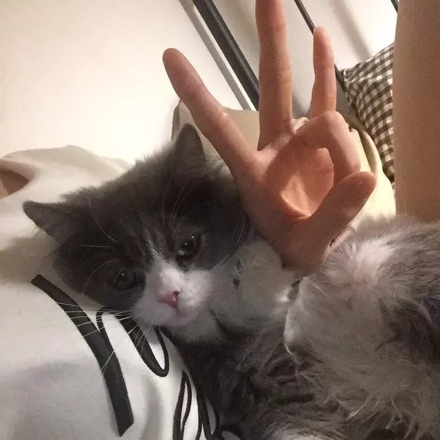 晏婕竹岩