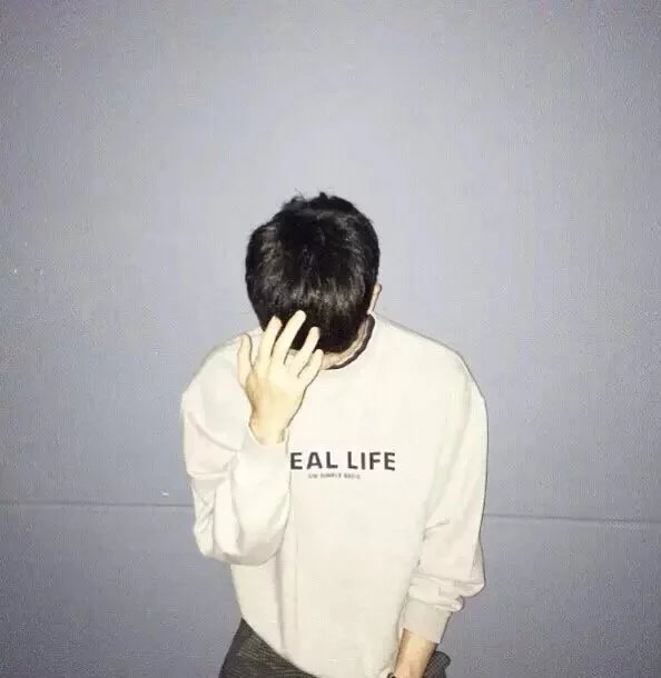 慕容蝶晶全