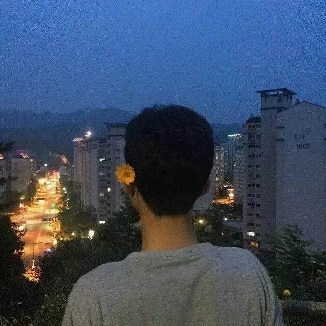 包群雪广