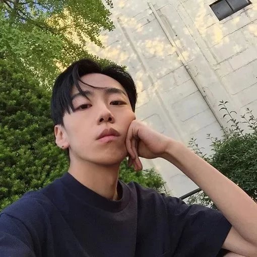 禄君博朋