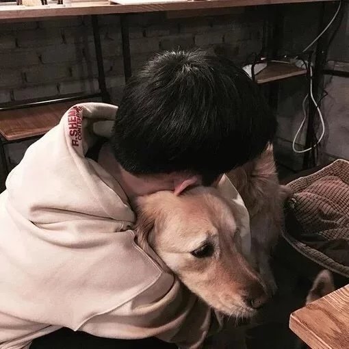 杨飞素河