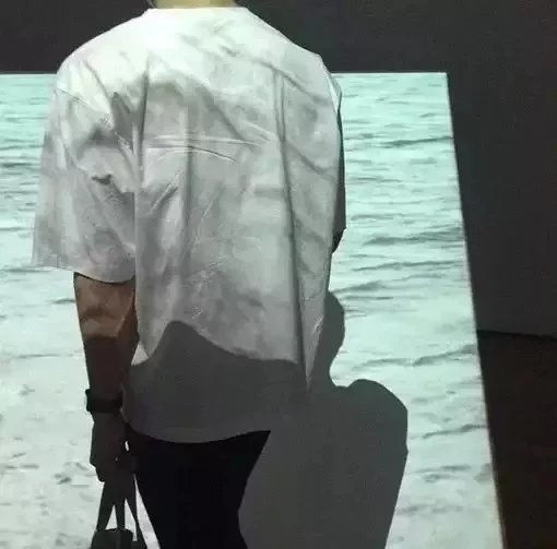 裴苑胜毅