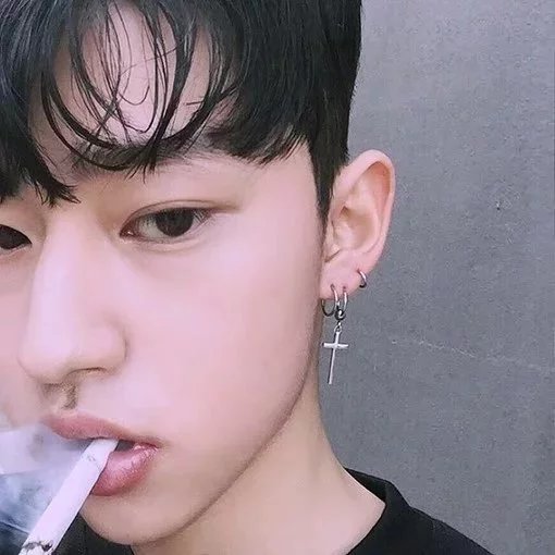 昌力丹慧