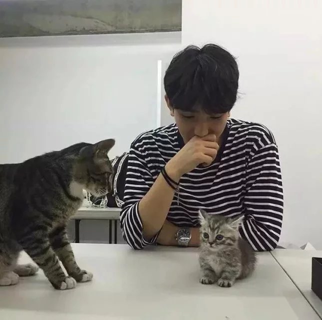 利东岚浩