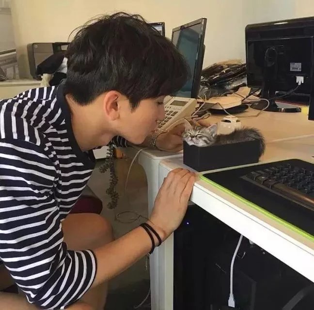 梁行英梅
